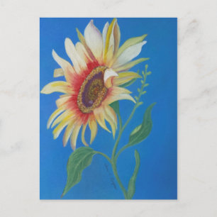 Carte Postale Tournesol