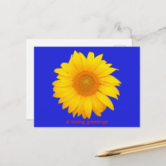 Carte postale Tournesol Amour Salutations