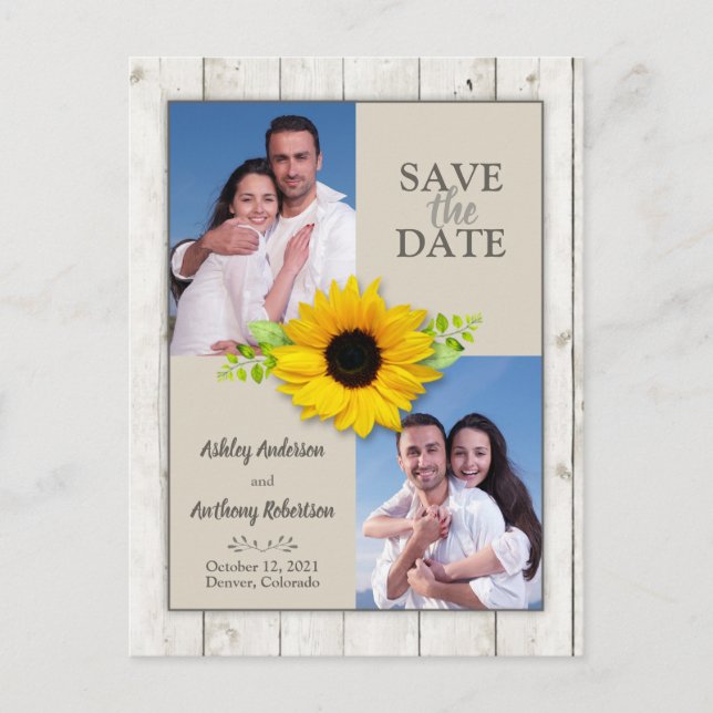 Carte Postale Tournesol blanchi rustique photo Enregistrer la da (Devant)