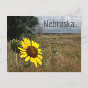 Carte Postale Tournesol, Ciel orageux, Paysage du Nebraska occid