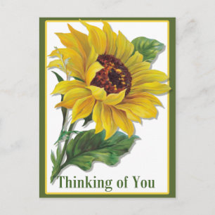 Carte Postale Tournesol doré