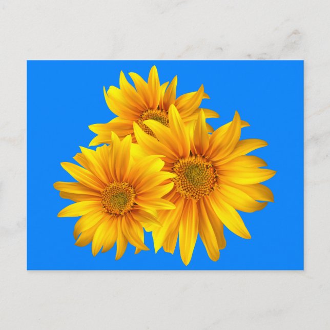 Carte Postale Tournesol floral Fleurs jaunes Ciel bleu (Devant)