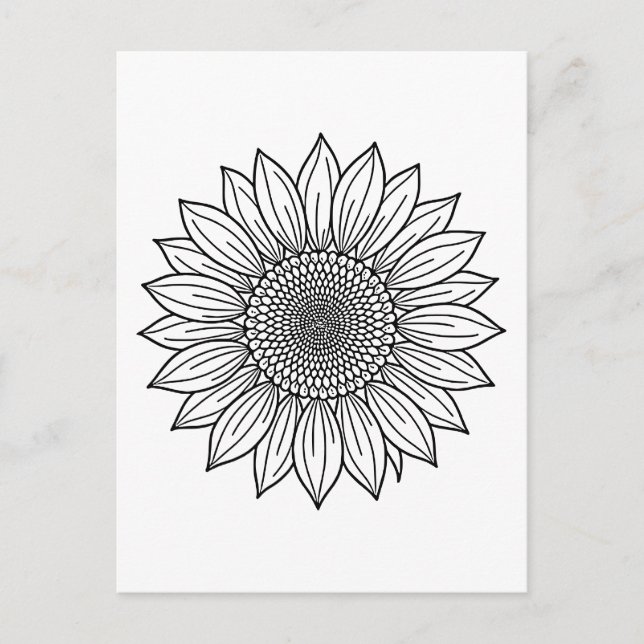 Carte Postale Tournesol Floral Illustration Line Art (Devant)