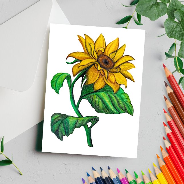 Carte Postale Tournesol Jaune Dessin Crayon Couleur (Créateur téléchargé)