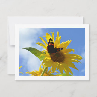 Carte Postale Tournesol jaune et papillon de l'amiral rouge