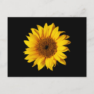 Carte Postale Tournesol Jaune sur Noir - Fleurs de Soleil Custom