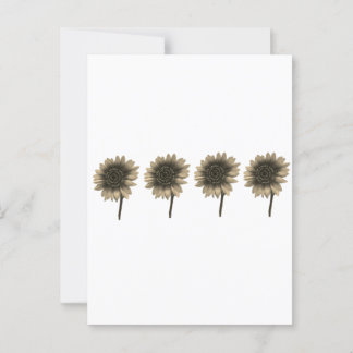 Carte Postale Tournesol Live, Rire, Amour