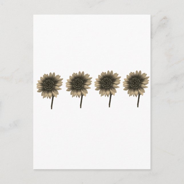 Carte Postale Tournesol Live, Rire, Amour (Devant)