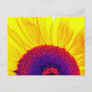 Carte Postale tournesol psychédélique