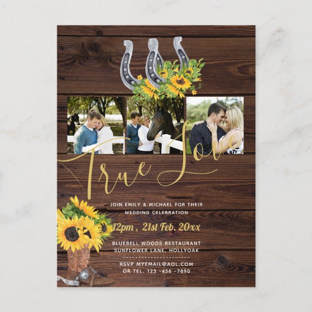 Carte Postale Tournesol rustique Occidental Grandes Cornes Photo (Devant)