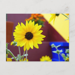 Carte Postale Tournesol sur mon patio