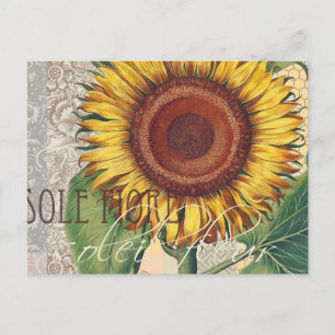 Carte Postale Tournesol Vintage Damas Fleur Art