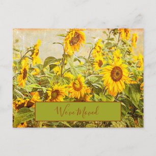 Carte Postale Tournesol Vintage Nous avons déménagé Jaune Déména