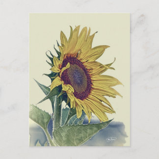 Carte Postale Tournesol vintage Original Shabit Old School Look