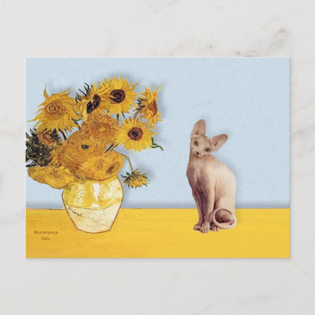 Carte Postale Tournesols - Chat Sphyx crème (Devant)