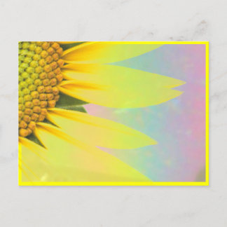 Carte Postale Tournesols de printemps