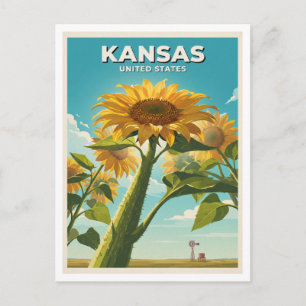 Carte Postale Tournesols du Kansas vus de dessous de Great Bend