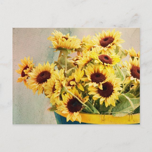 Carte Postale Tournesols en baril - horizontal (Devant)