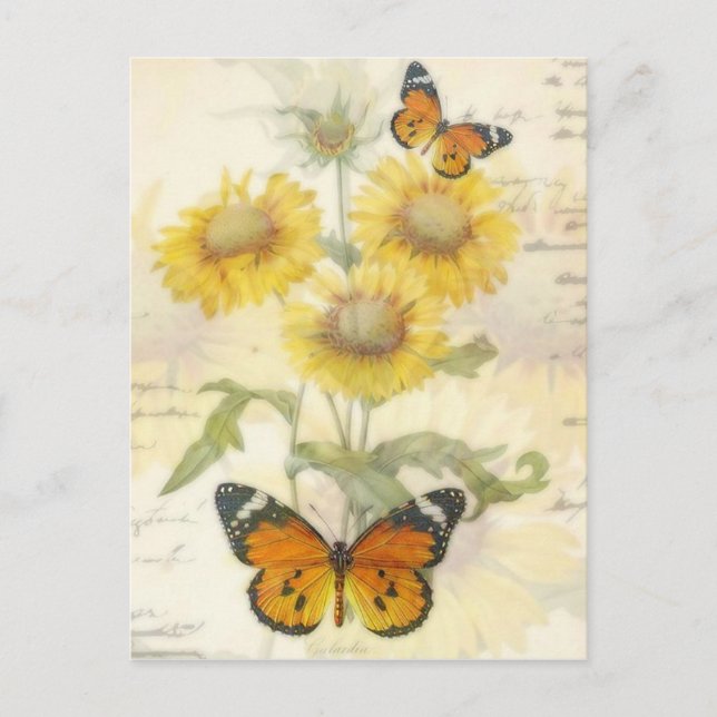 Carte Postale Tournesols et papillon (Devant)