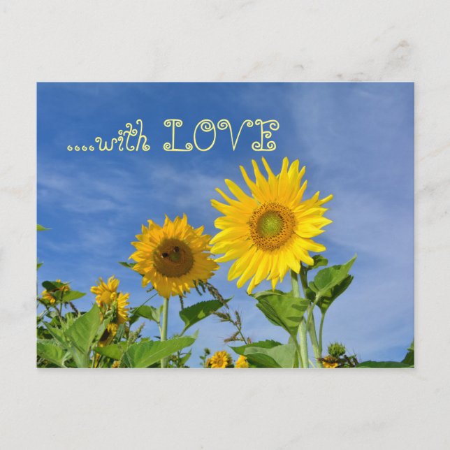 Carte Postale Tournesols pour toi ... (Devant)