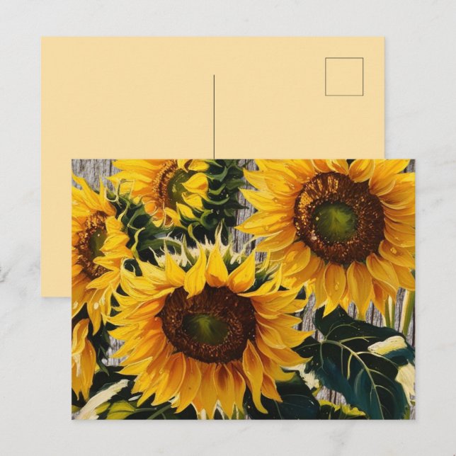 Carte Postale Tournesols Rustiques Sur Barton Imprimer (Devant / Derrière)