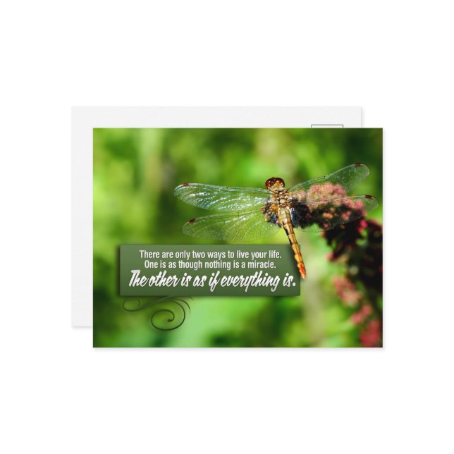 Carte Postale "Tout est un miracle" Citation Inspirationnelle (Devant/Arrière en situation)