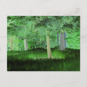 Carte Postale "Tout peut arriver" Forêt Magique Transformée