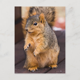 Carte Postale Toutes Les Mains Sur Le Pont