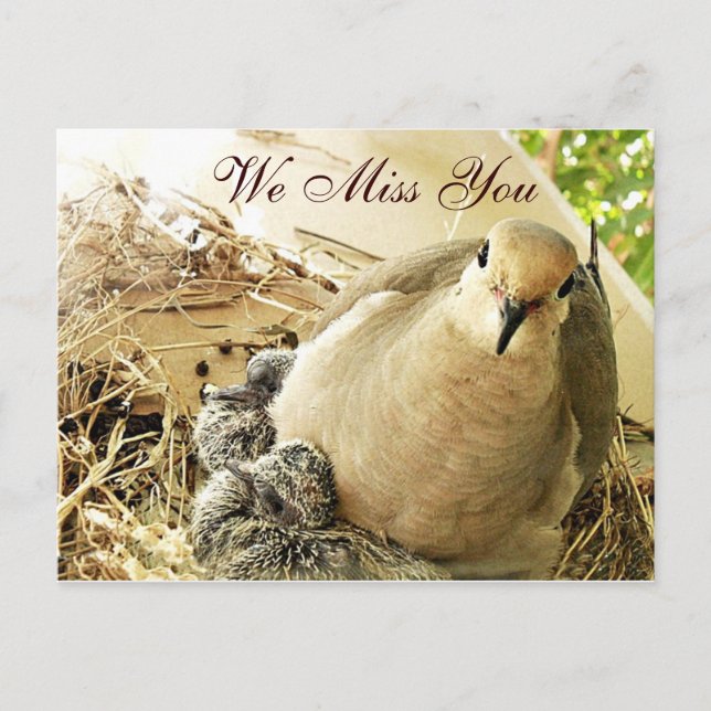 Carte Postale Toutes-occasions_ (Devant)