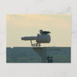 Carte Postale Toutes Vos Bases Appartiennent à Nous