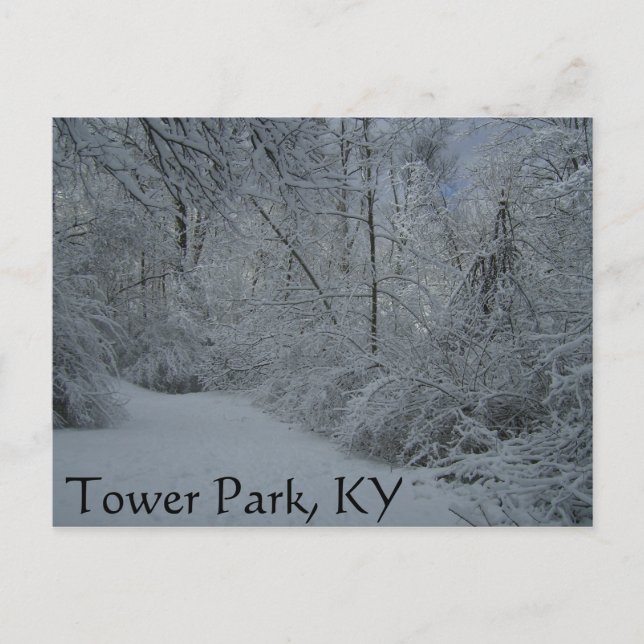 Carte Postale Tower Park, KY (Devant)