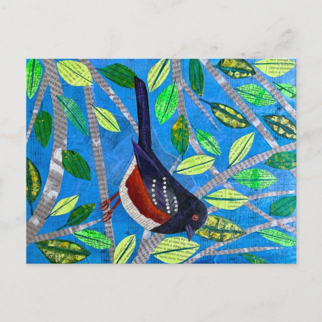 Carte Postale Towhee tachetée (Devant)