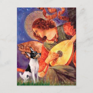 Carte Postale Toy Fox Terrier - Ange au Mandolin
