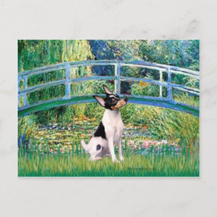 Carte Postale Toy Fox Terrier - Pont