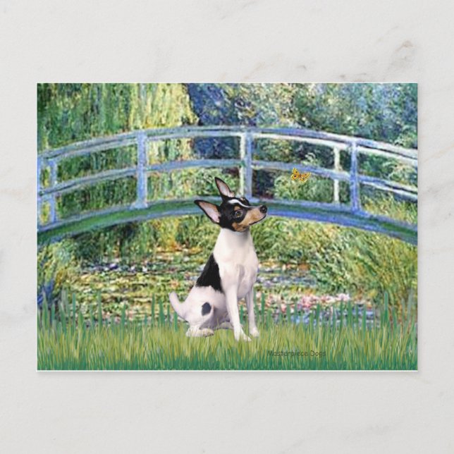 Carte Postale Toy Fox Terrier - Pont (Devant)