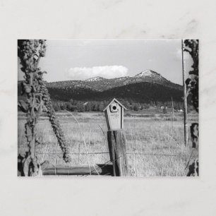 Carte Postale TR Bluebird House