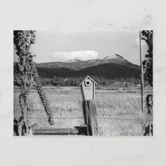 Carte Postale TR Bluebird House (Devant)