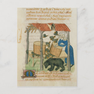 Carte Postale Tractatus de Herbis