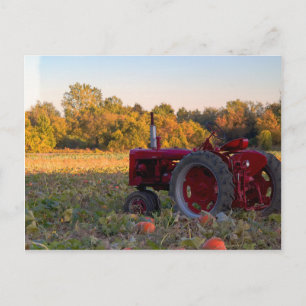 Carte Postale Tracteur dans un champ citrouille