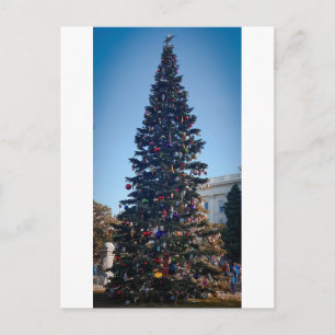 Carte Postale Tradition familiale des Fêtes de Noël avec un arbr