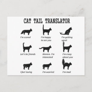 CARTE POSTALE TRADUCTEUR DE QUEUE DE CHAT