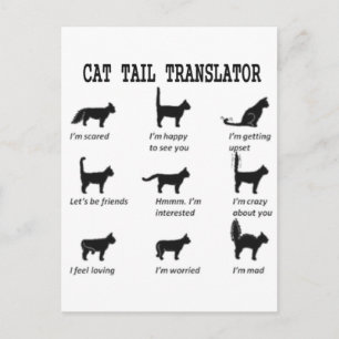 CARTE POSTALE TRADUCTEUR TAIL CAT