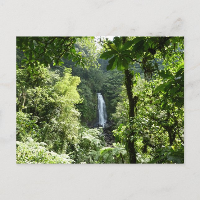 Carte Postale Trafalgar Falls Tropical Rainforest Photographie (Devant)