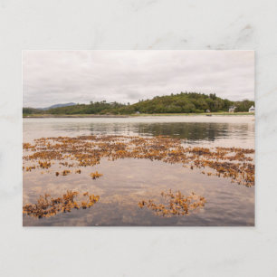 Carte Postale Traigh Beach
