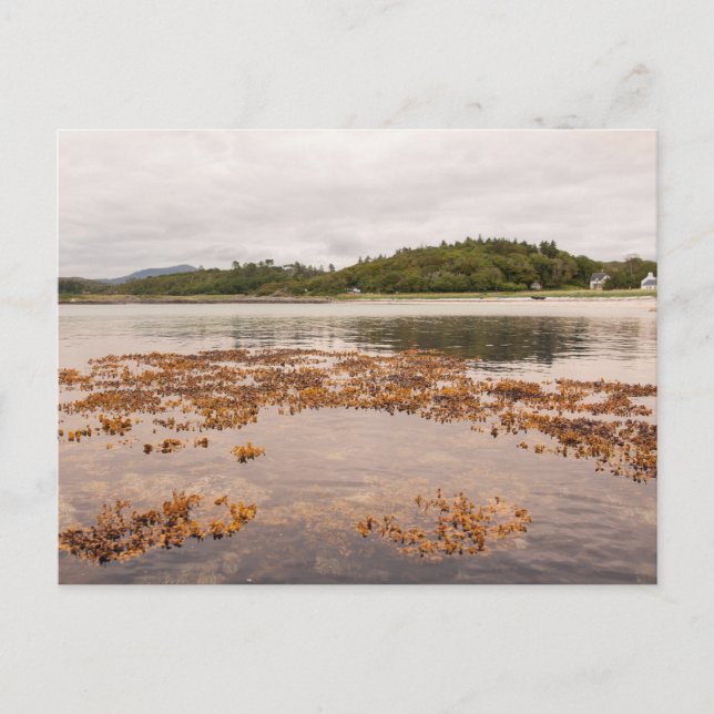 Carte Postale Traigh Beach (Devant)