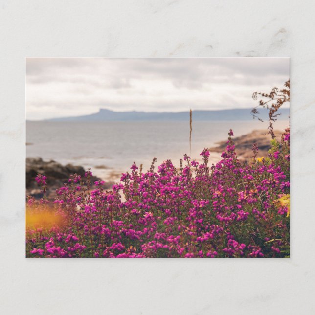 Carte Postale Traigh Beach et Eigg (Devant)