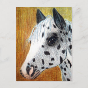 Carte Postale "Trail Ride" Appalloosa Horse
