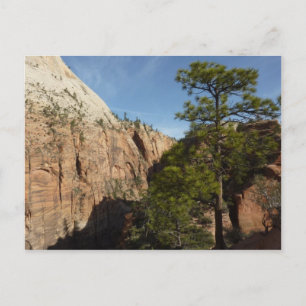 Carte Postale Trail to Angels Landing in Zion National Park