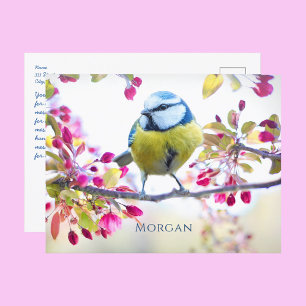 Carte Postale Train à vapeur Vintage coloré Art, Nom, Message