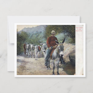 Carte Postale Train de bât dans les montagnes Vintage